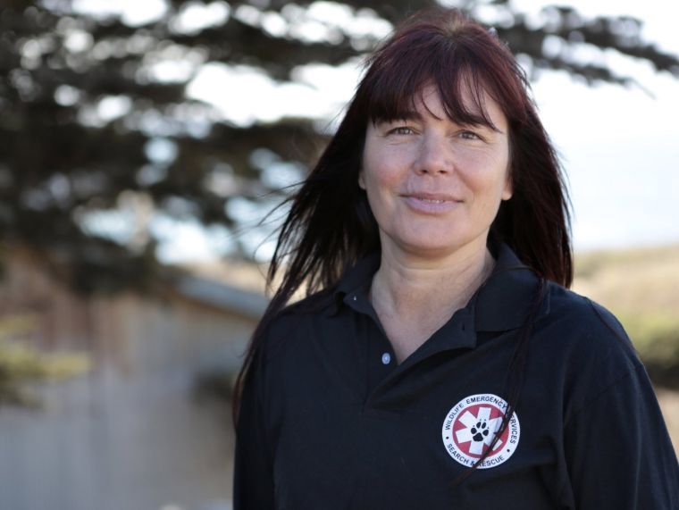 Wildlife group pushes app to help sick, injured animals